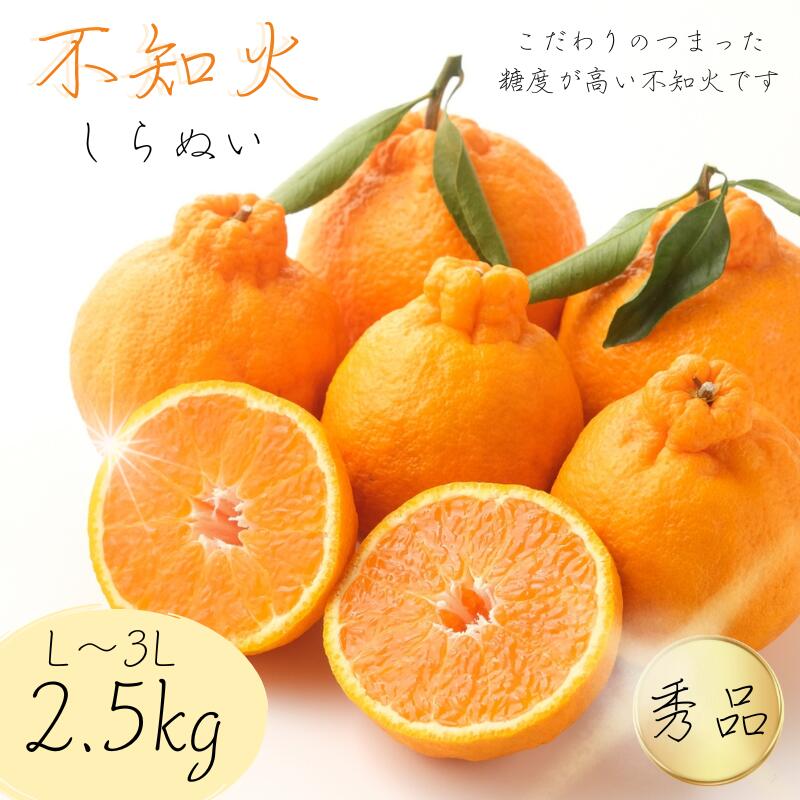 【ふるさと納税】 【L〜3Lのサイズおまかせ】秀品 路地不知火 2.5kg【2024年2月中旬から2024年2月下旬頃に順次発送】＜味好農園＞/不知火 デコポン 蜜柑 みかん 柑橘 果物 フルーツのサムネイル