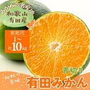 【ふるさと納税】 【先行予約】【2025年9月中旬~10月中旬頃発送予定】【初秋の美味】【農家直送】有田育ちのご家庭用青切り有田みかん1kg~10kg 選べる容量
