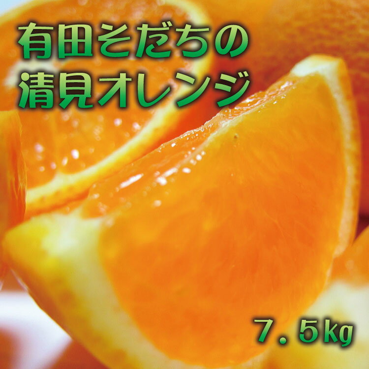 【ふるさと納税】【2025年2月下旬～3月下旬順次発送予定】有田育ちの完熟清見オレンジ(ご家庭用)　約7...