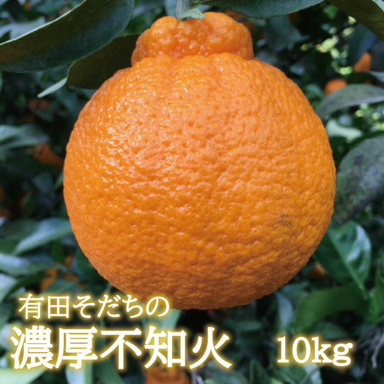 13位! 口コミ数「0件」評価「0」 先行予約 有田育ちの濃厚不知火(ご家庭用)(通称デコポン)　約10kg　※2025年1月下旬～3月下旬順次発送予定