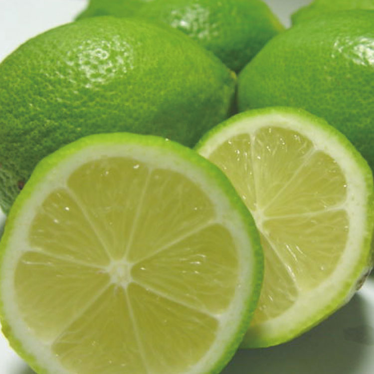 和歌山県太地町の画像2