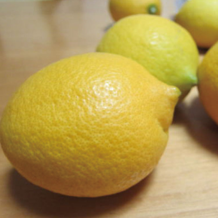 和歌山県太地町の画像3