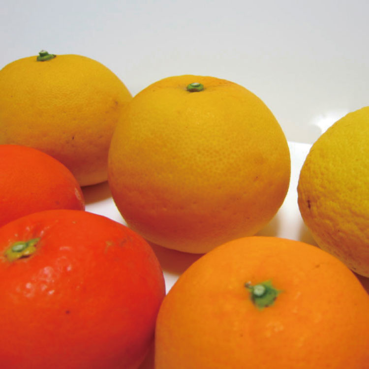 和歌山県太地町の画像2