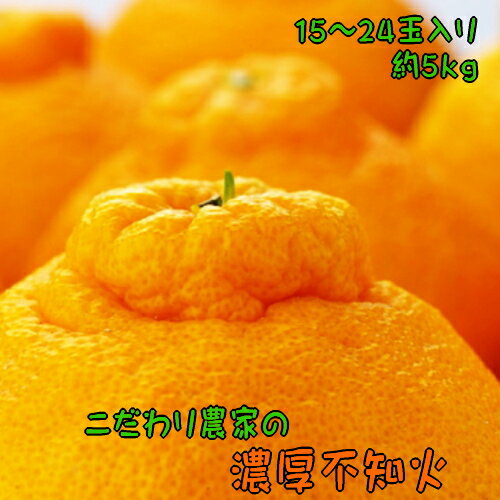 409位! 口コミ数「0件」評価「0」 【先行予約】こだわり農家の濃厚不知火（デコポンと同品種） 約5kg (15〜24玉) ※2026年2月下旬〜3月下旬頃に順次発送予定 ※着日指定不可