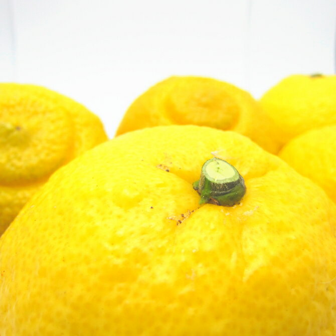 特撰 はるか 約2kg 約3kg 約5kg [2026年1月下旬〜3月下旬頃に順次発送]