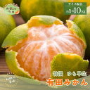 【ふるさと納税】 【初秋の美味】【2025年10月上旬~10月下旬頃発送予定】特撰 ゆら早生有田みかん 1kg~10kg 選べる容量