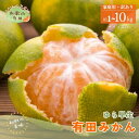 【ふるさと納税】 【初秋の美味】【2025年10月上旬~10月下旬頃順次発送予定】有田育ちのご家庭用訳ありゆら早生有田みかん 1kg~10kg【サイズ混合】選べる容量