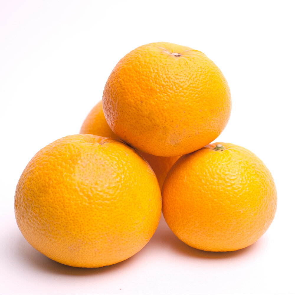 和歌山県太地町の画像2