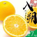 【ふるさと納税】 【先行予約】 厳選 はっさく 1kg 2.5kg 5kg 7.5kg 10kg+250g(傷み補償分)【八朔みかん】<2026年1月~4月下旬ごろに順次発送予定> / ハッサク みかん くだもの わかやま 和歌山 有田みかん ミカン 果物 おすすめ 柑橘 フルーツ 農家直送