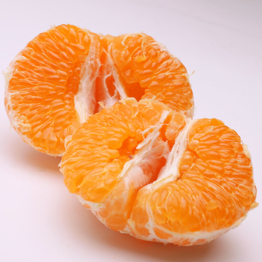 和歌山県太地町の画像2