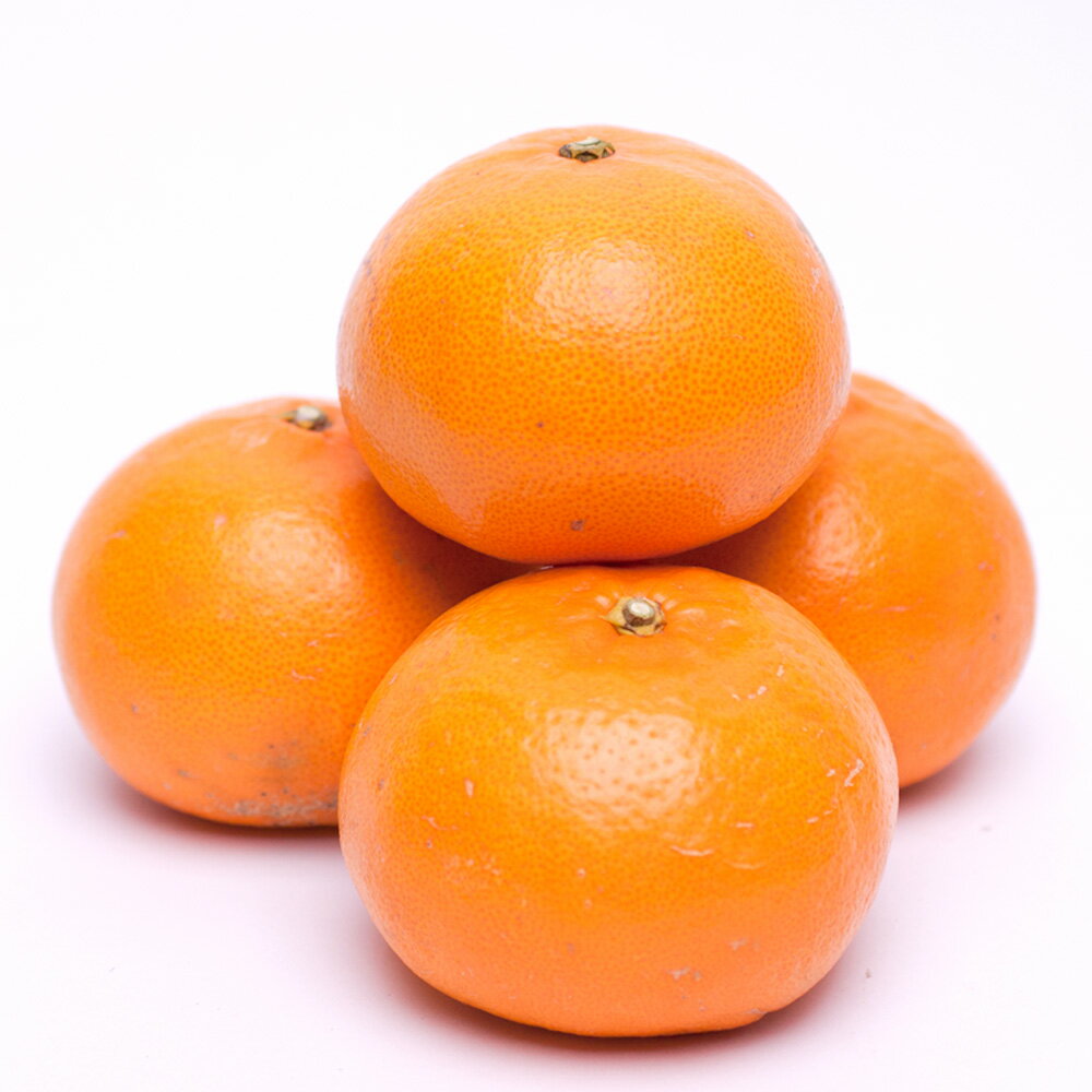 和歌山県太地町の画像2