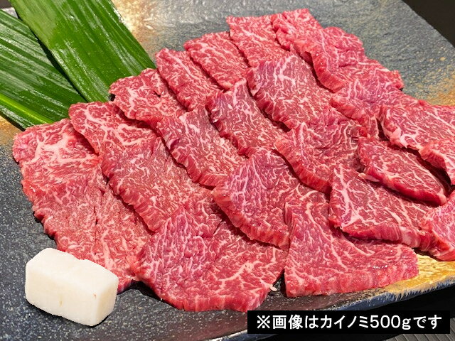 和歌山県太地町の画像2