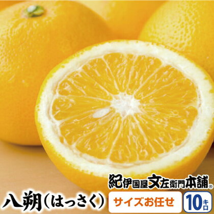 八朔(はっさく)約10kg サイズおまかせ 紀伊国屋文左衛門本舗【2022年1月中旬〜2月中旬頃に発送】(お届け指定日不可)
