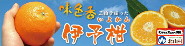 和歌山県太地町の画像3