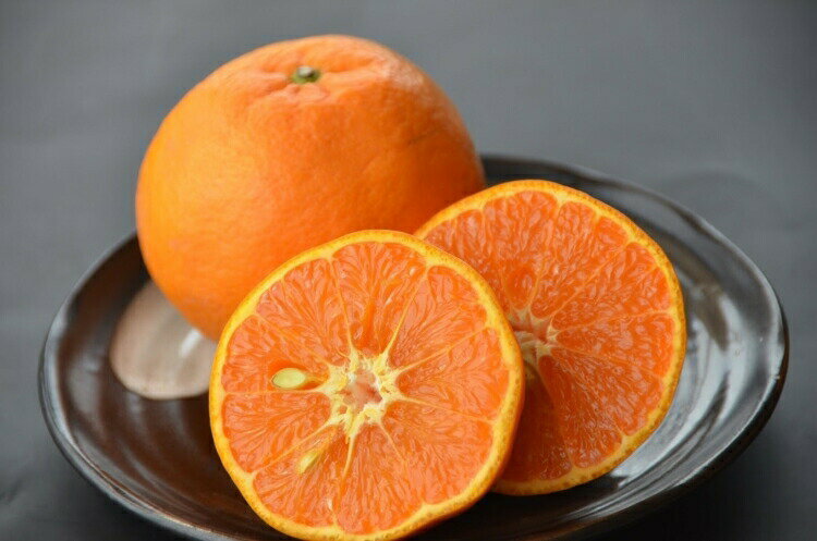 和歌山県太地町の画像3