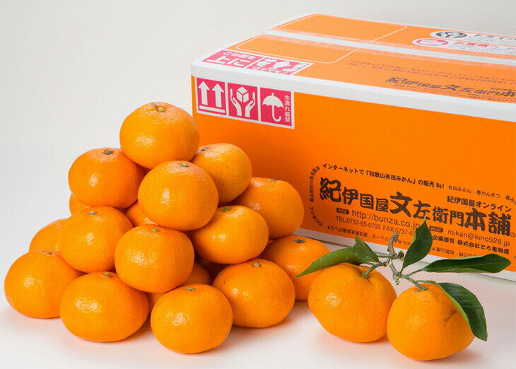 和歌山県太地町の画像2