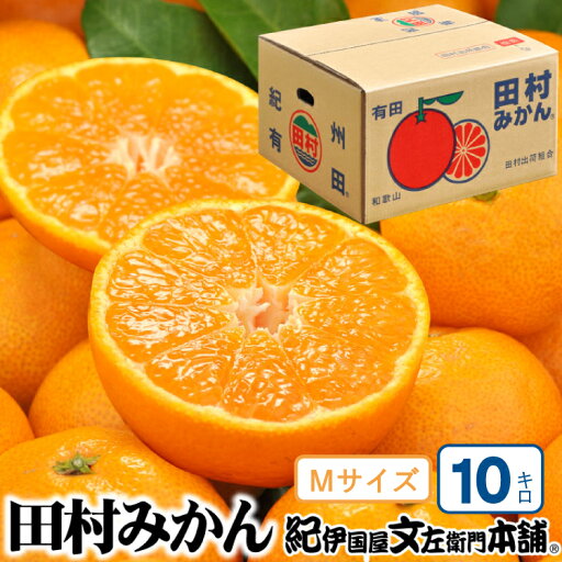 【ふるさと納税】 【予約受付】田村みかん 特選ギフト品10kg【Mサイズ】赤秀/紀州和歌山有田郡湯浅町田村地区産 ◆2025年11月下旬~2026年1月中旬頃に順次発送(お届け日指定不可) 紀伊国屋文左衛門本舗 【ふるさと納税】 【予約受付】田村みかん 特選ギフト品10kg【Mサイズ】赤秀/紀州和歌山有田郡湯浅町田村地区産 ◆2025年11月下旬~2026年1月中旬頃に順次発送(お届け日指定不可) 紀伊国屋文左衛門本舗