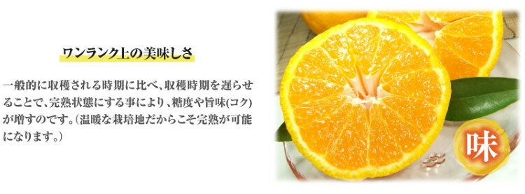 和歌山県太地町の画像2