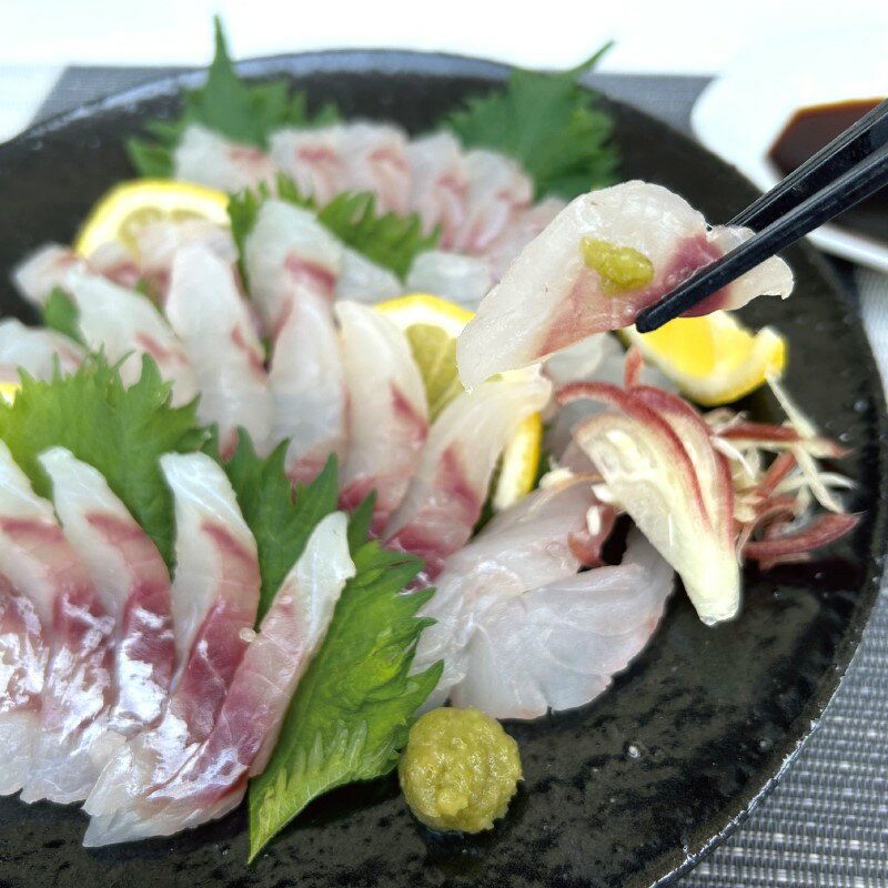 和歌山県太地町の画像2
