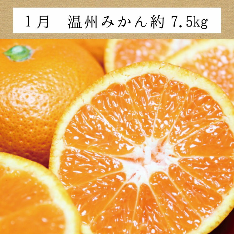 和歌山県太地町の画像3