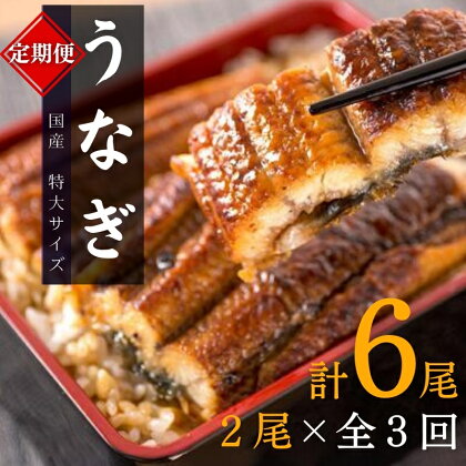 【全3回定期便】大型サイズ ふっくら柔らか 国産うなぎ蒲焼き 2尾×3回 計6尾 約1020g / うなぎ ウナギ 鰻 国産 蒲焼 蒲焼き たれ 人気 定期便 ふるさと納税