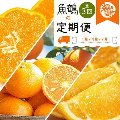 【ふるさと納税】 【全3回】紀州和歌山産旬の柑橘定期便 (みかん・なつみ・バレンシア) / フルーツ 果物 バレンシアオレンジ なつみ みかん 旬 定期便