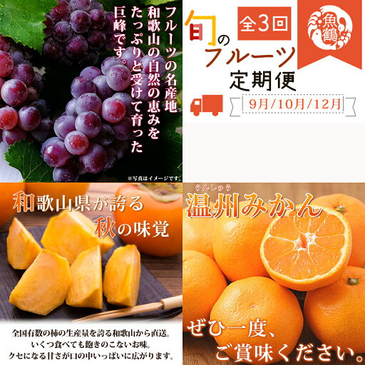 【ふるさと納税】 【全3回】 紀州和歌山産旬のフルーツセット (巨峰・ひらたね・みかん) / 定期便 フルーツ フルーツ定期便 おすすめ 和歌山 果物 くだもの 葡萄 巨峰 ぶどう 柿 カキ かき みかん ミカン 有田みかん 【ふるさと納税】 【全3回】 紀州和歌山産旬のフルーツセット (巨峰・ひらたね・みかん) / 定期便 フルーツ フルーツ定期便 おすすめ 和歌山 果物 くだもの 葡萄 巨峰 ぶどう 柿 カキ かき みかん ミカン 有田みかん