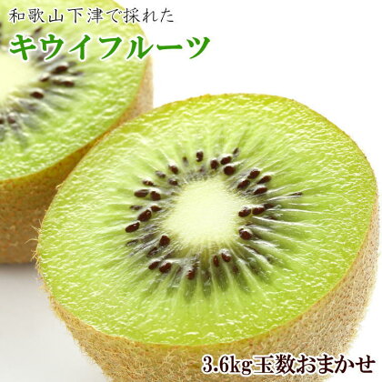 和歌山の下津で採れたキウイフルーツ約3.6kg（玉数おまかせ・秀品）※2025年1月上旬〜3月上旬頃に発送予定（お届け日指定不可）