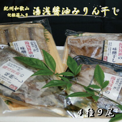 和歌山の近海でとれた新鮮魚の湯浅醤油みりん干し4品種9尾入りの詰め合わせ