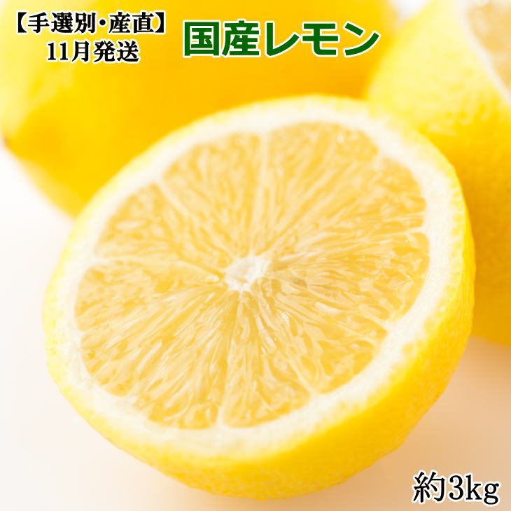 27位! 口コミ数「0件」評価「0」【手選別・産直】紀の川産の安心国産レモン約3kg ＊11月発送＊（お届け日指定不可）