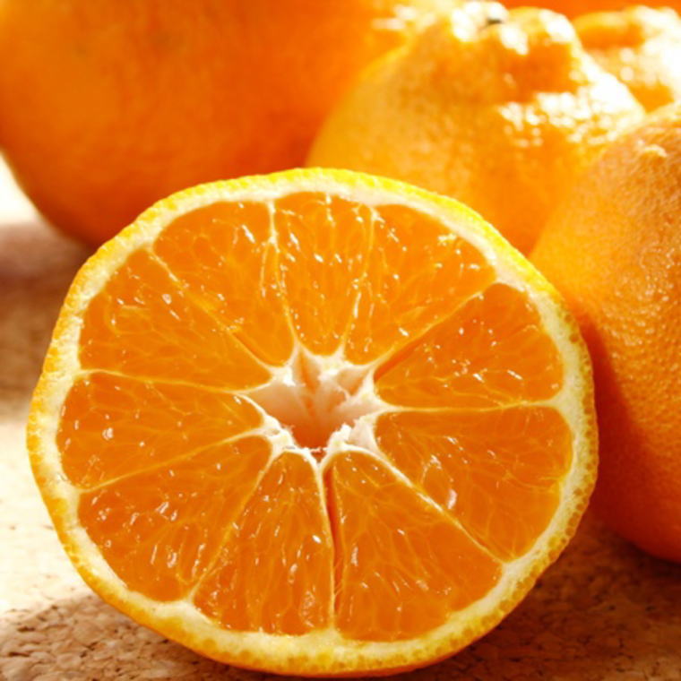 和歌山県太地町の画像2