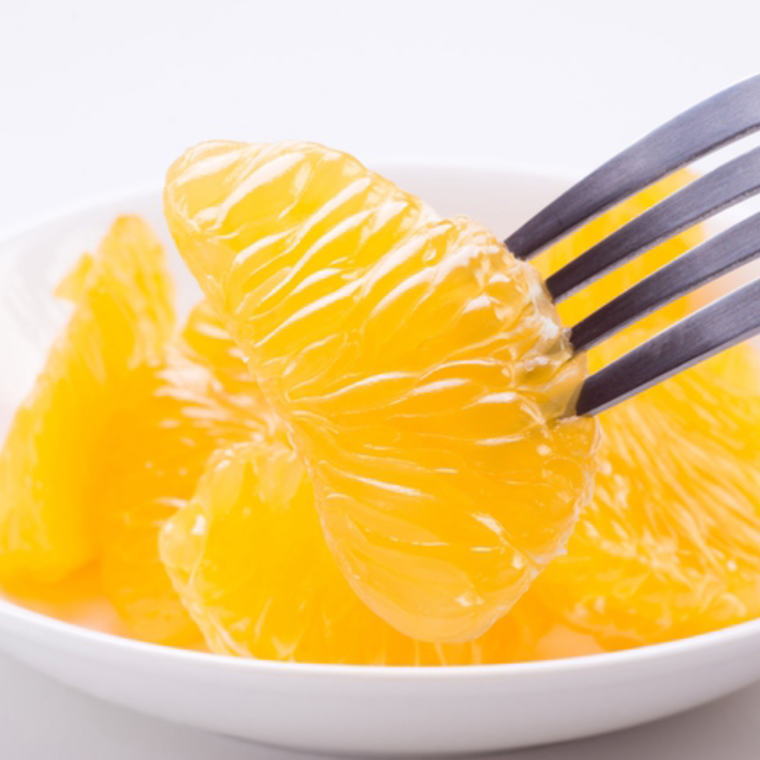 和歌山県太地町の画像2