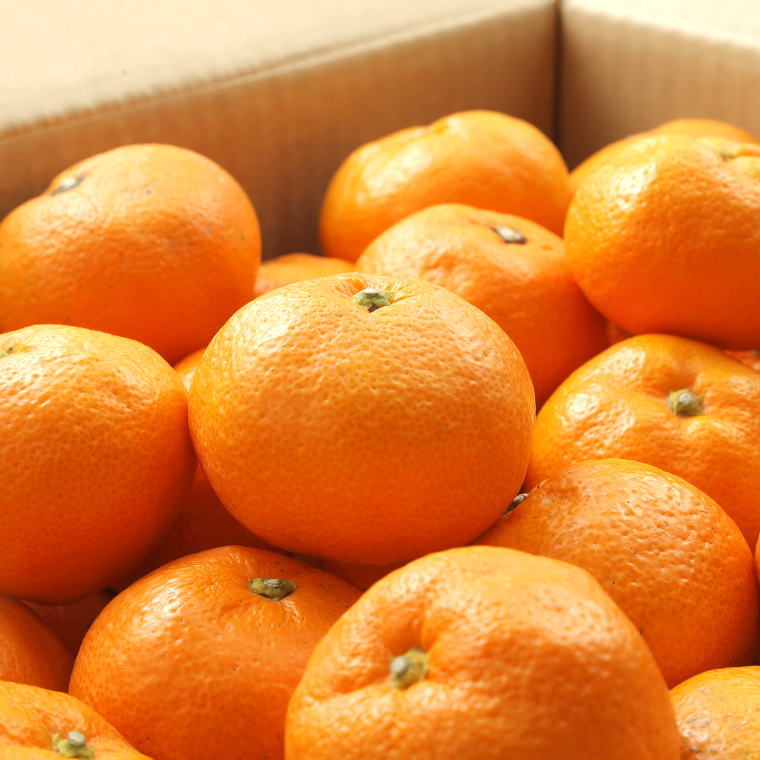 和歌山県太地町の画像2