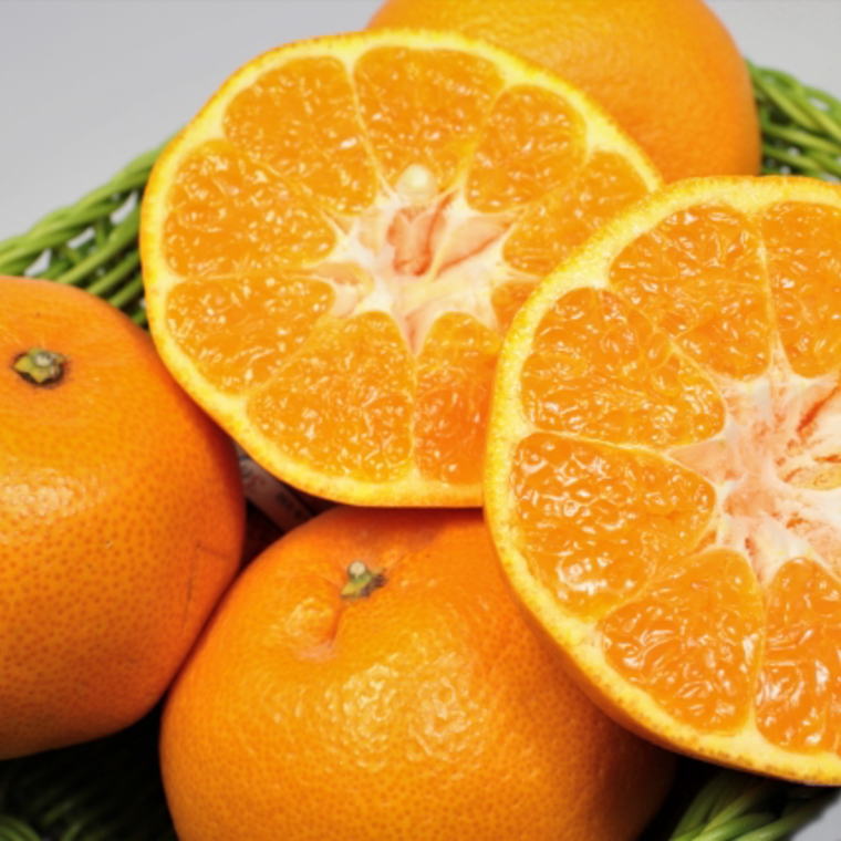 和歌山県太地町の画像3