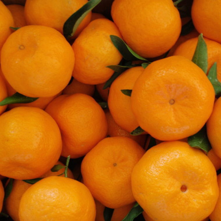 和歌山県太地町の画像3