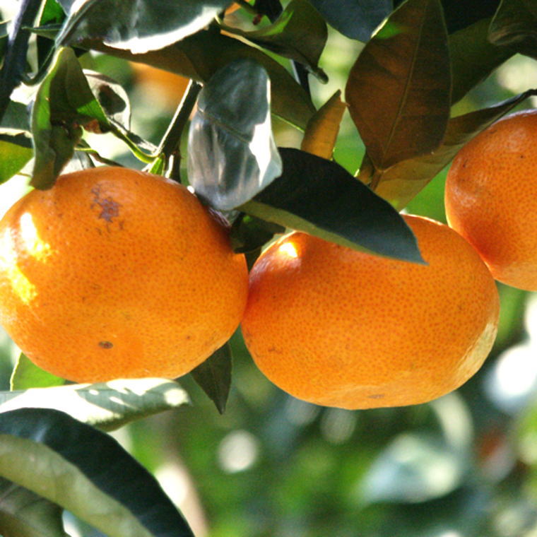 和歌山県太地町の画像3