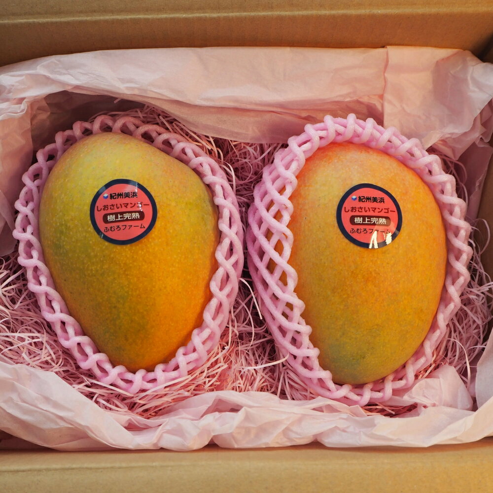 和歌山県太地町の画像2