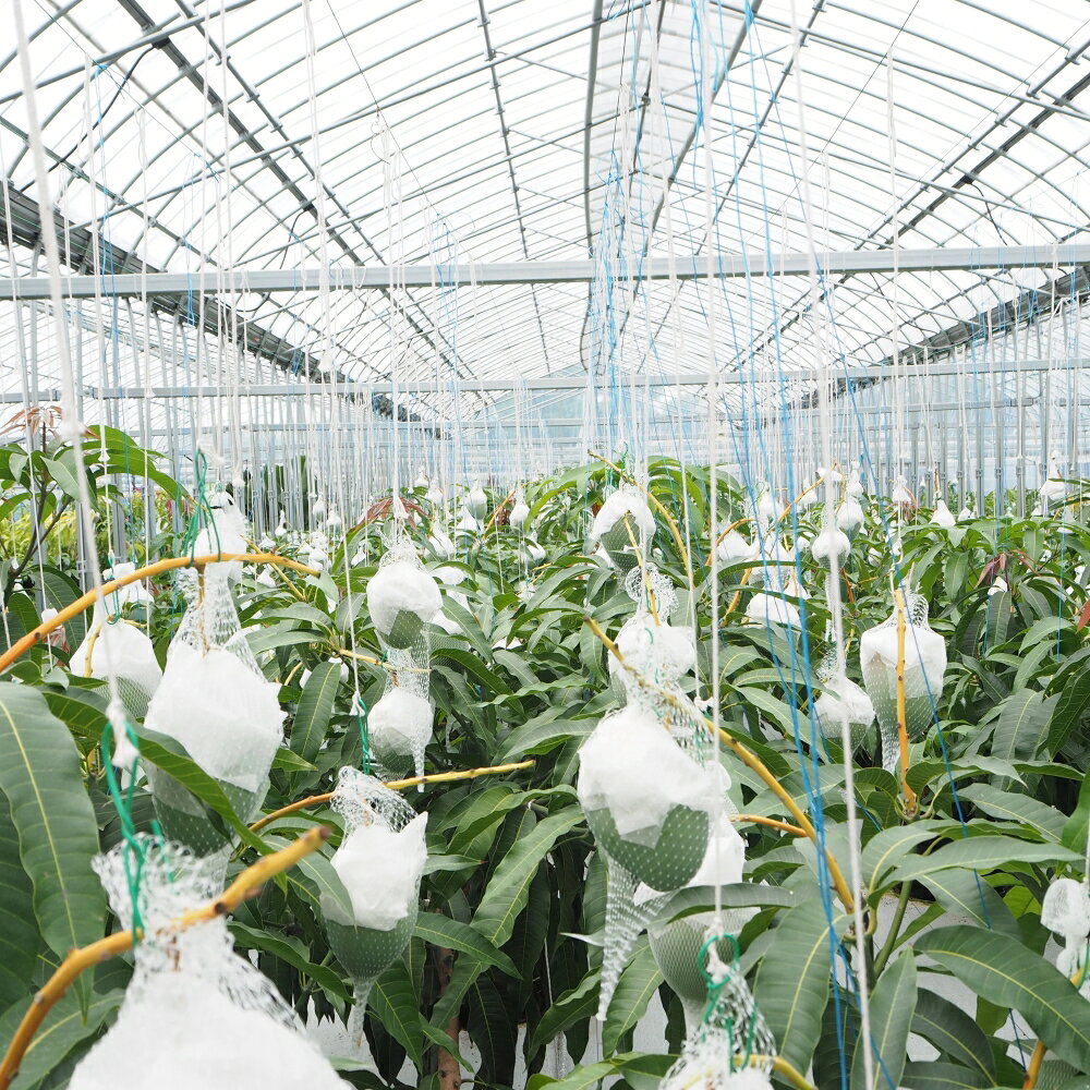和歌山県太地町の画像3