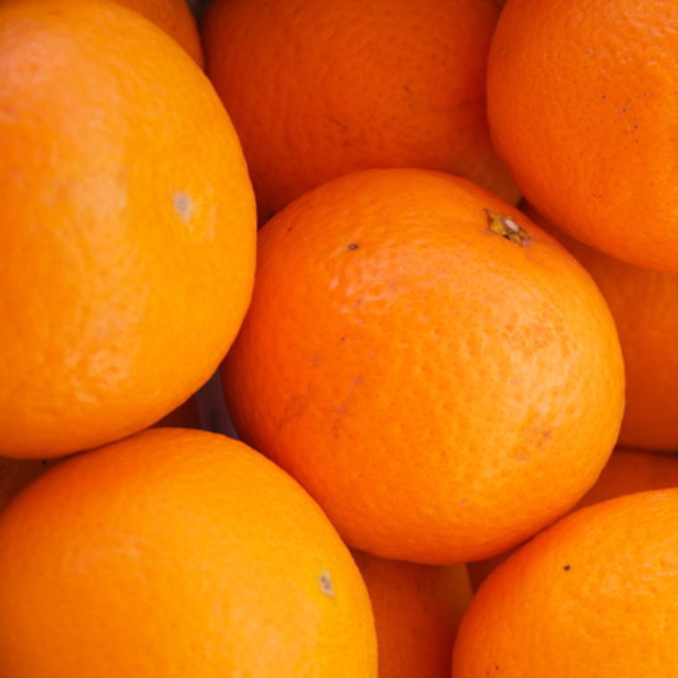 和歌山県太地町の画像2