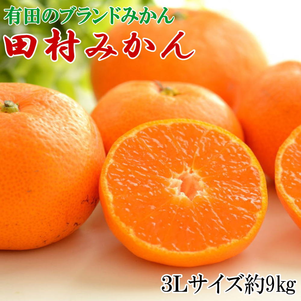 [ブランドみかん]田村みかん大玉約9kg(3Lサイズ) ※2025年11下旬〜2025年12月下旬頃に順次発送 / みかん オレンジ 和歌山 柑橘 フルーツ 果物[tecj1036]