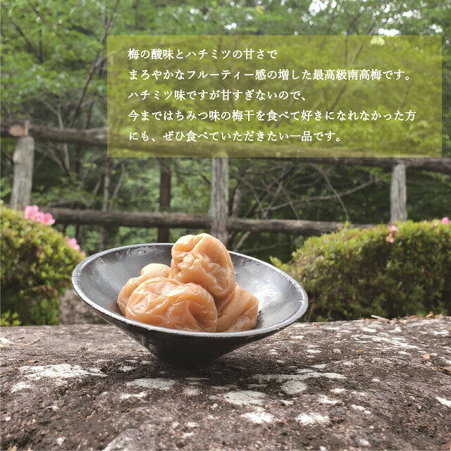 和歌山県太地町の画像2