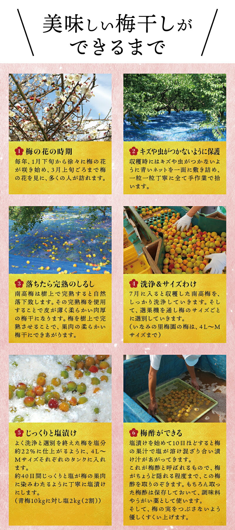 和歌山県太地町の画像3