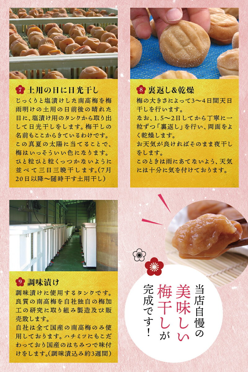 和歌山県太地町の画像3