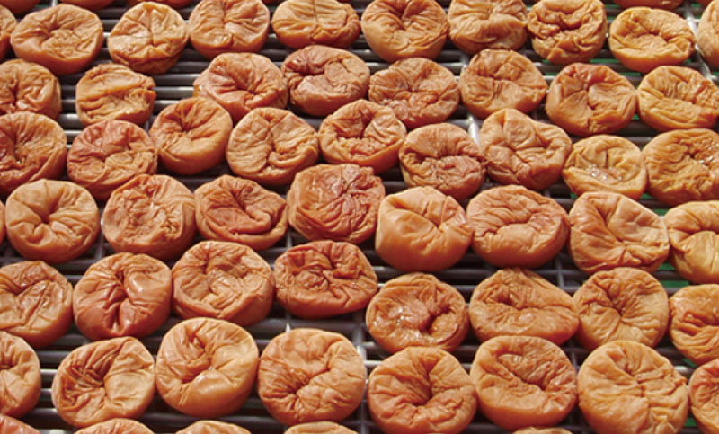 和歌山県太地町の画像3