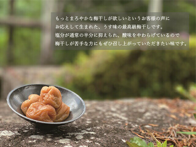 和歌山県太地町の画像2