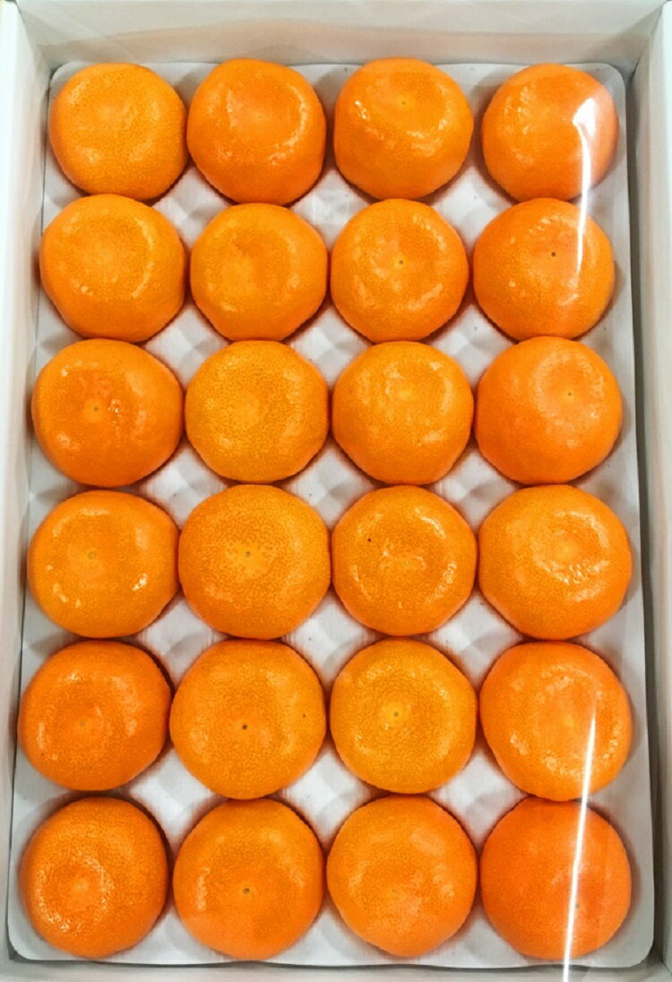 和歌山県太地町の画像2