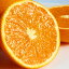 【ふるさと納税】【予約】【ジューシー】清見オレンジ 5kg ※2025年3月下旬〜2025年4月中旬頃に順次発送予定（お届け日指定不可）