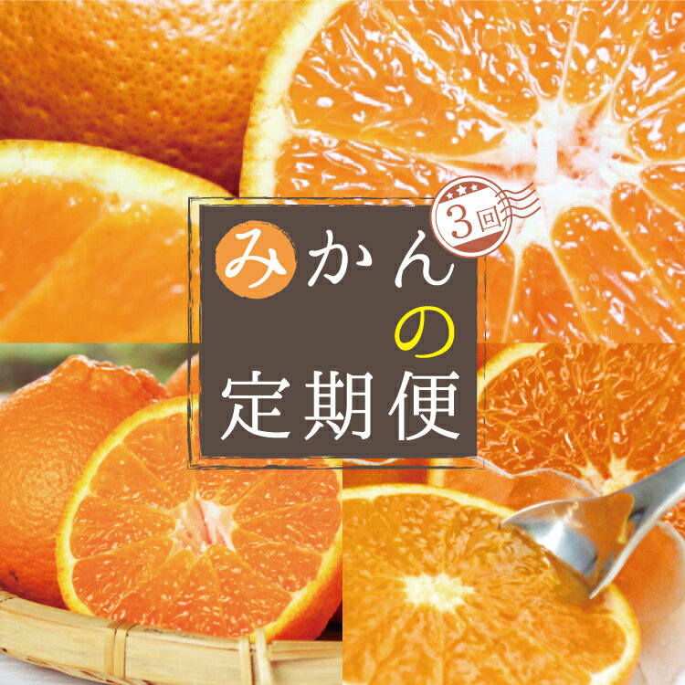 21位! 口コミ数「1件」評価「2」【3か月定期便】人気の柑橘を集めた！みかんの定期便