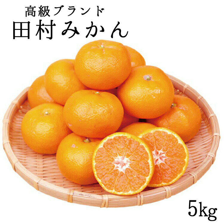 高級ブランド田村みかん 5kg[予約]※2024年11月下旬頃〜2025年1月下旬頃に順次発送予定(お届け日指定不可)