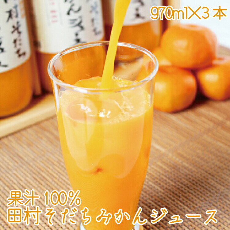 【ふるさと納税】果汁100%　田村そだちみかんジュース　97